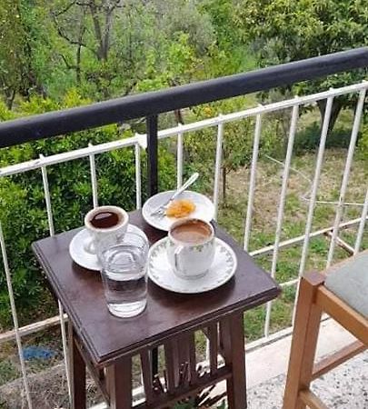 艾伊翁Vacation House Dionysia别墅 外观 照片