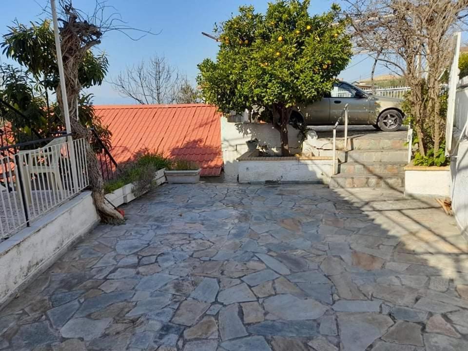 艾伊翁Vacation House Dionysia别墅 外观 照片