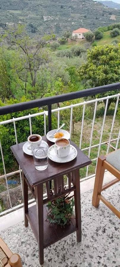 艾伊翁Vacation House Dionysia别墅 外观 照片